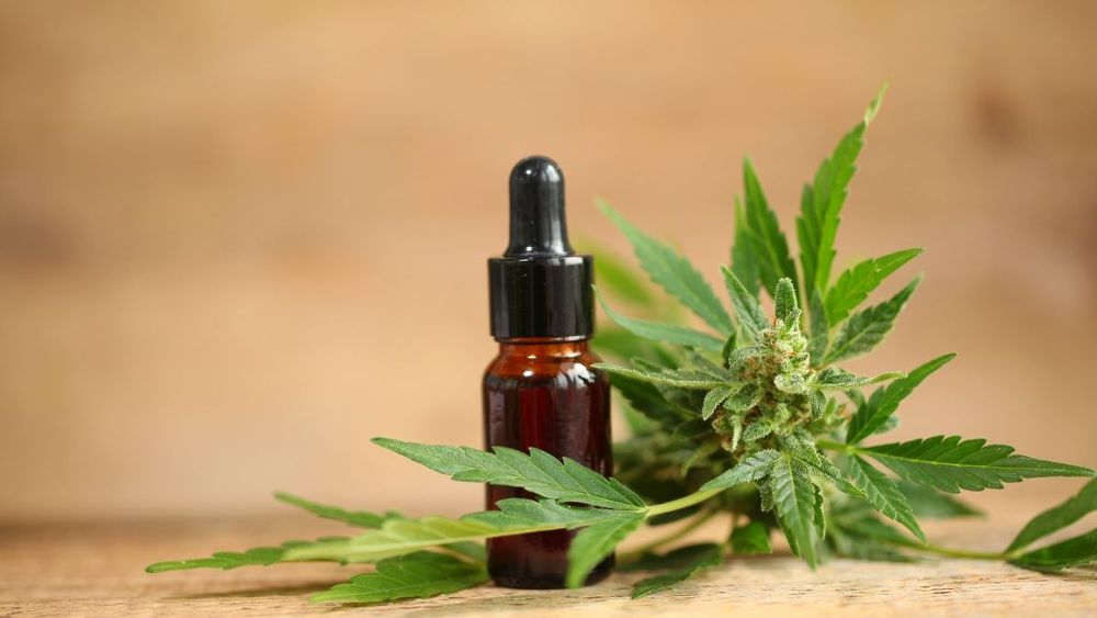 CBC), (CBG), (CBN), (CBDL), (THC), (CBD): cannabis não